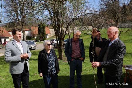 Jabolko Kanadka v spomin na sadjarja in pospeševalca Franca Pirca (1)